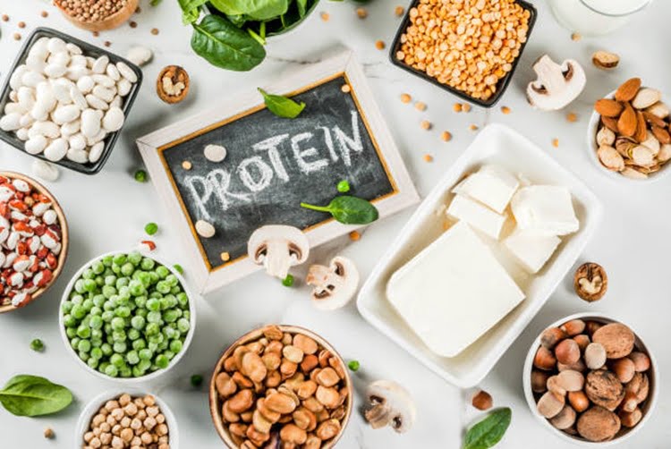 Protein İhtiyacı ve Kaynakları