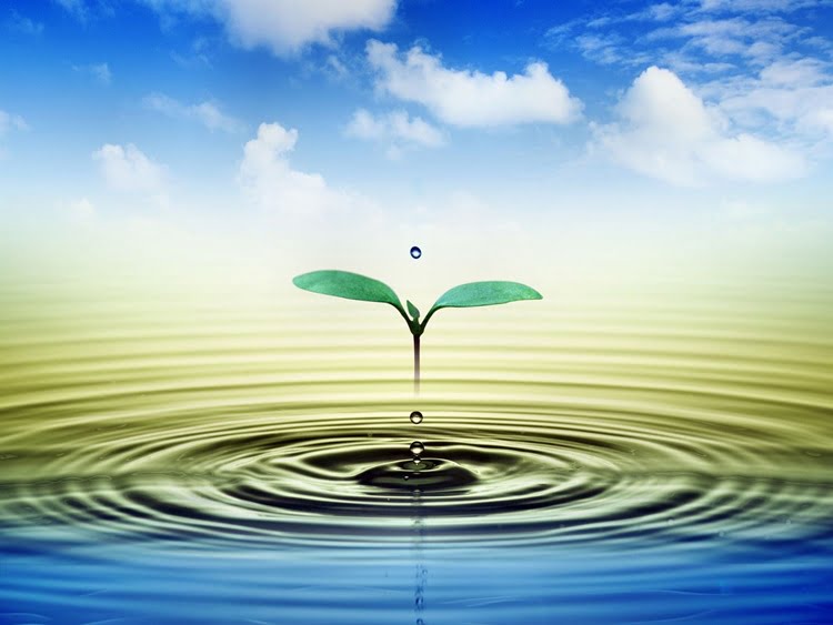 Sağlıklı Yaşam İçin Temiz Hava ve Su