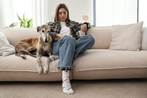 Evcil Hayvan Sahipleri İçin Açık Renk Mobilya Kullanma Kılavuzu